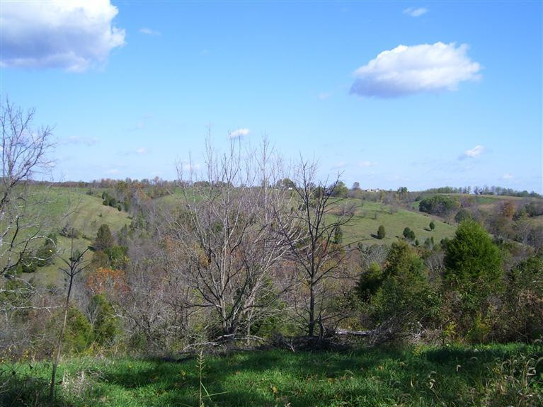 1715 Osborne Road Dry Ridge, KY 41035 - Photo 7 of 13