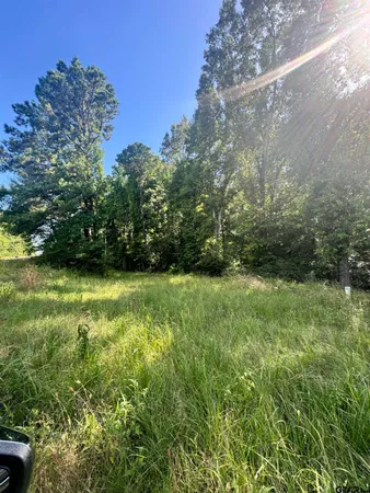 a view of yard with green space