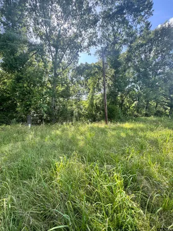 a big yard with lots of green space and deers