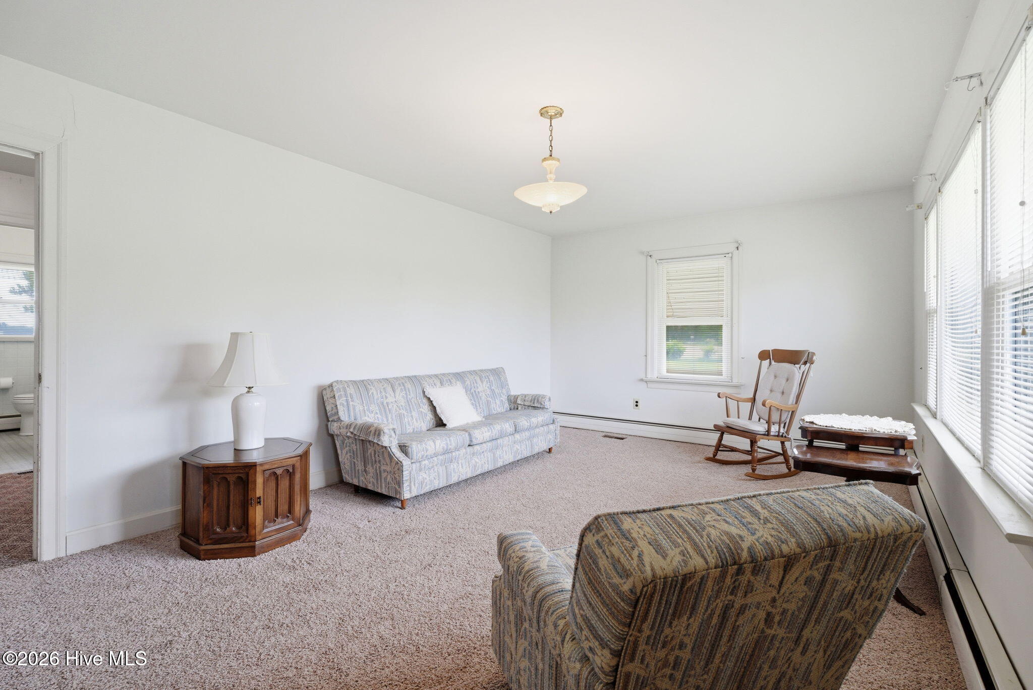 7302 Cabin Branch Road Stantonsburg, NC 27883 - Photo 2 of 50 19-web-or-mls-dsc06066