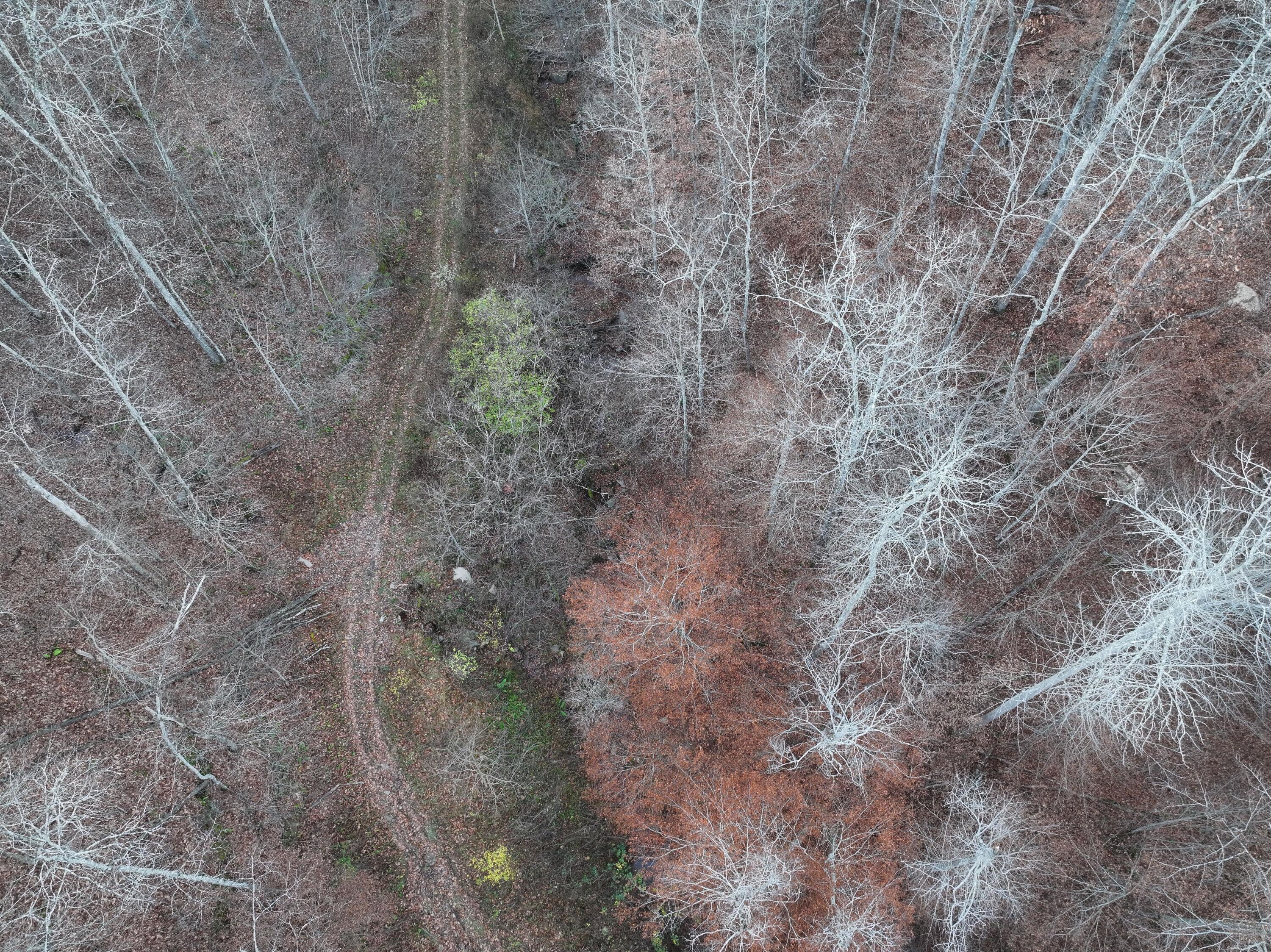 Dale Hollow Road Renick, WV 24966 - Photo 15 of 17 Gallery Image 15
