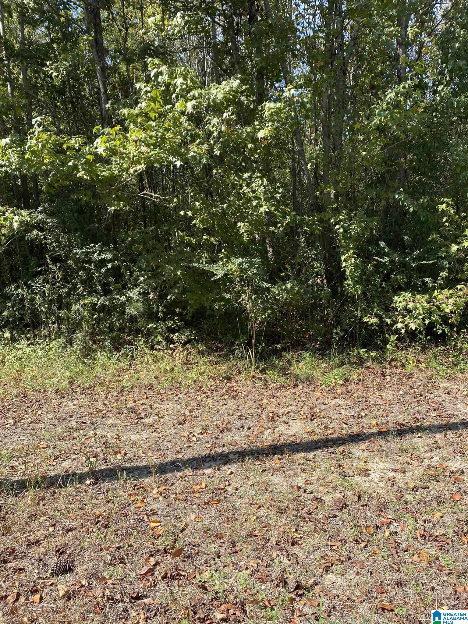 77 Armstrong Road, Unit 1 Ashville, AL 35953 - Photo 8 of 8