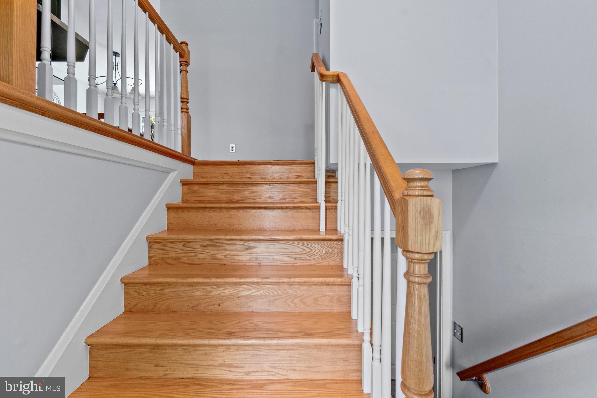 1706 Abelia Road Fallston, MD 21047 - Photo 6 of 41 a view of entryway