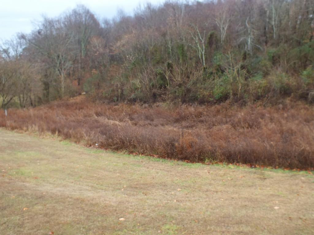 330 Pinhook Road Rogersville, TN 37857 - Photo 12 of 20 Photo 12