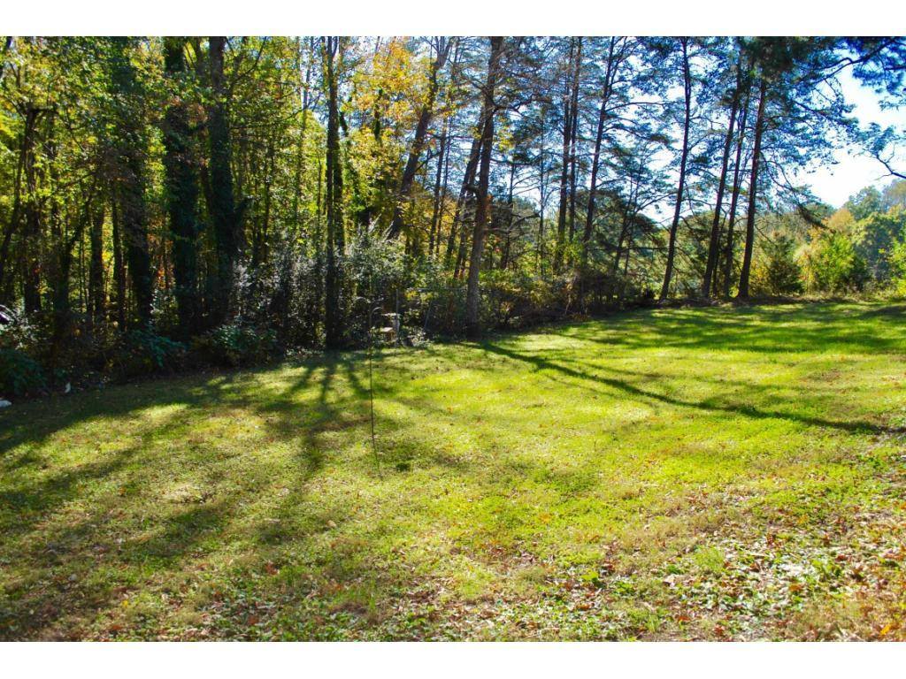 3212 Oak Ridge Road Summerfield, NC 27358 - Photo 18 of 22 a backyard of a house with lots of green space