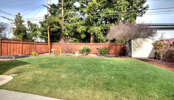 a view of garden with trees