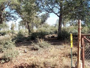 17033 Control Road Payson, AZ 85541 - Photo 5 of 28
