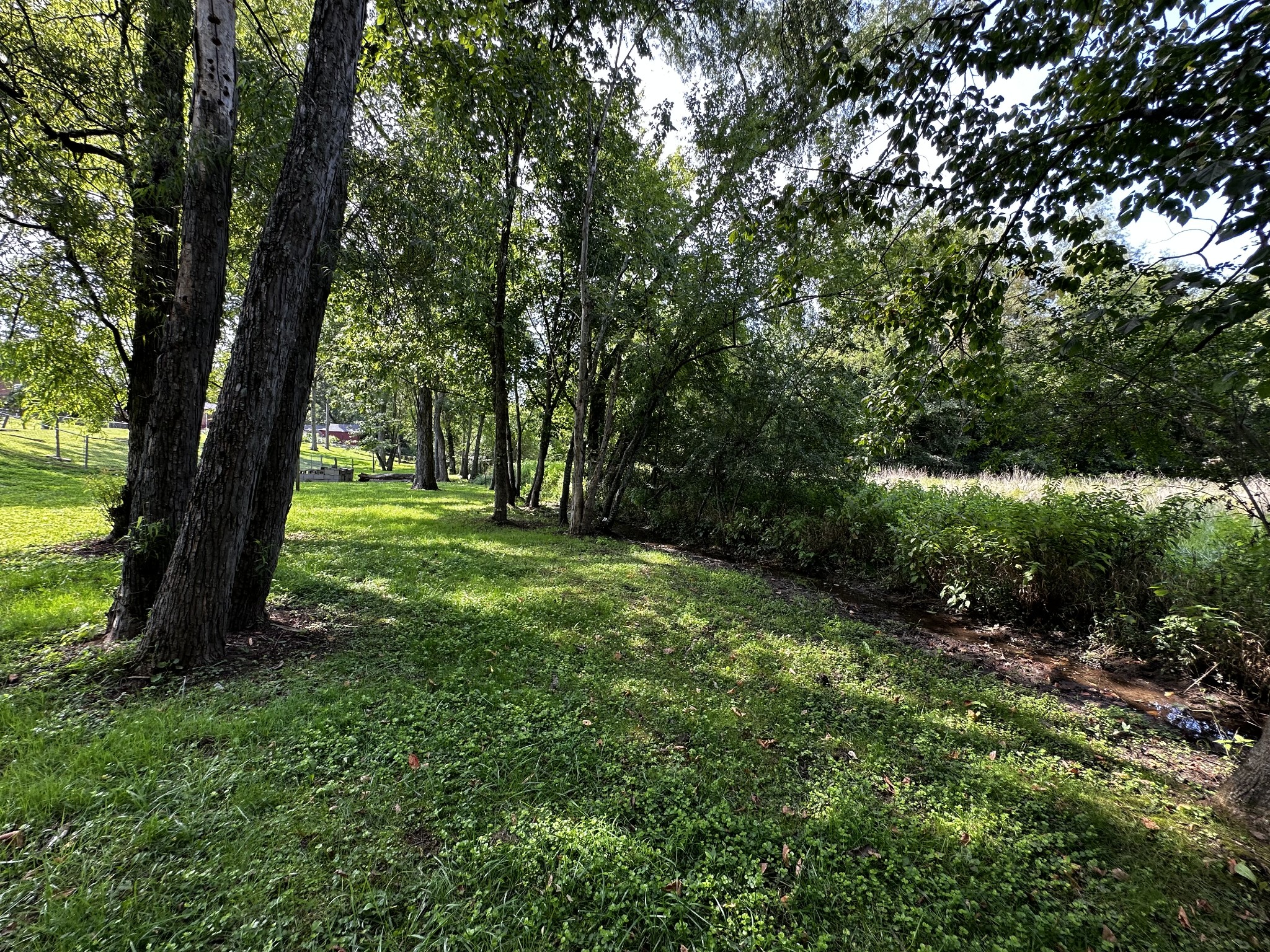 116 Riner Court Old Hickory, TN 37138 - Photo 59 of 65 Gallery Image 59