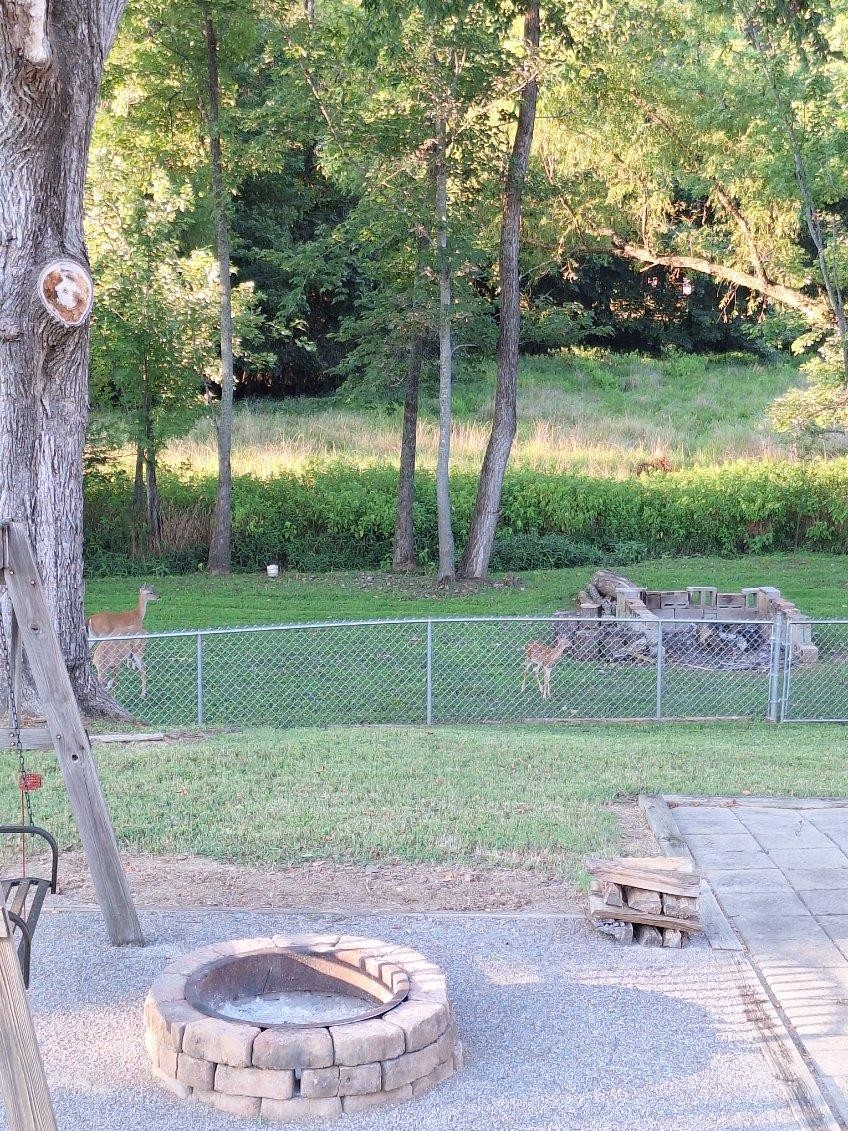 116 Riner Court Old Hickory, TN 37138 - Photo 65 of 65 Gallery Image 65