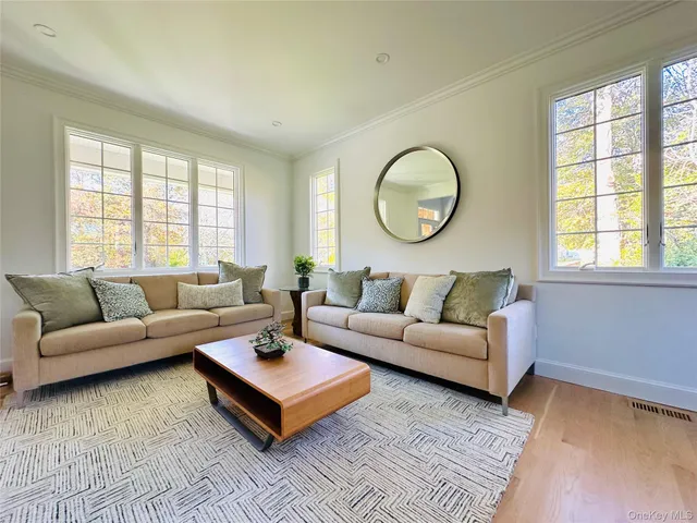a living room with furniture a rug and a window