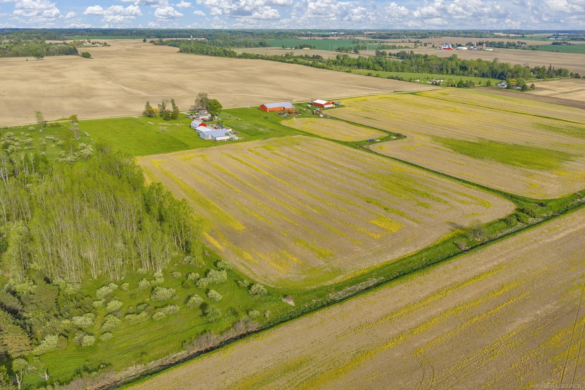 0 Goetze Road Applegate, MI 48401 - Photo 11 of 11