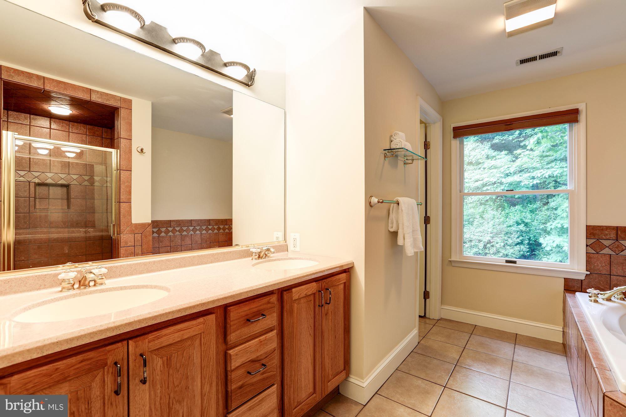 9700 Lorain Avenue Silver Spring, MD 20901 - Photo 18 of 30 Owner's Luxurious Bathroom
