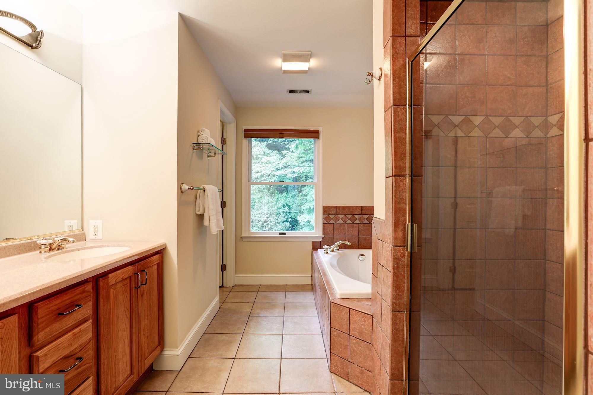 9700 Lorain Avenue Silver Spring, MD 20901 - Photo 19 of 30 Owner's Bathroom
