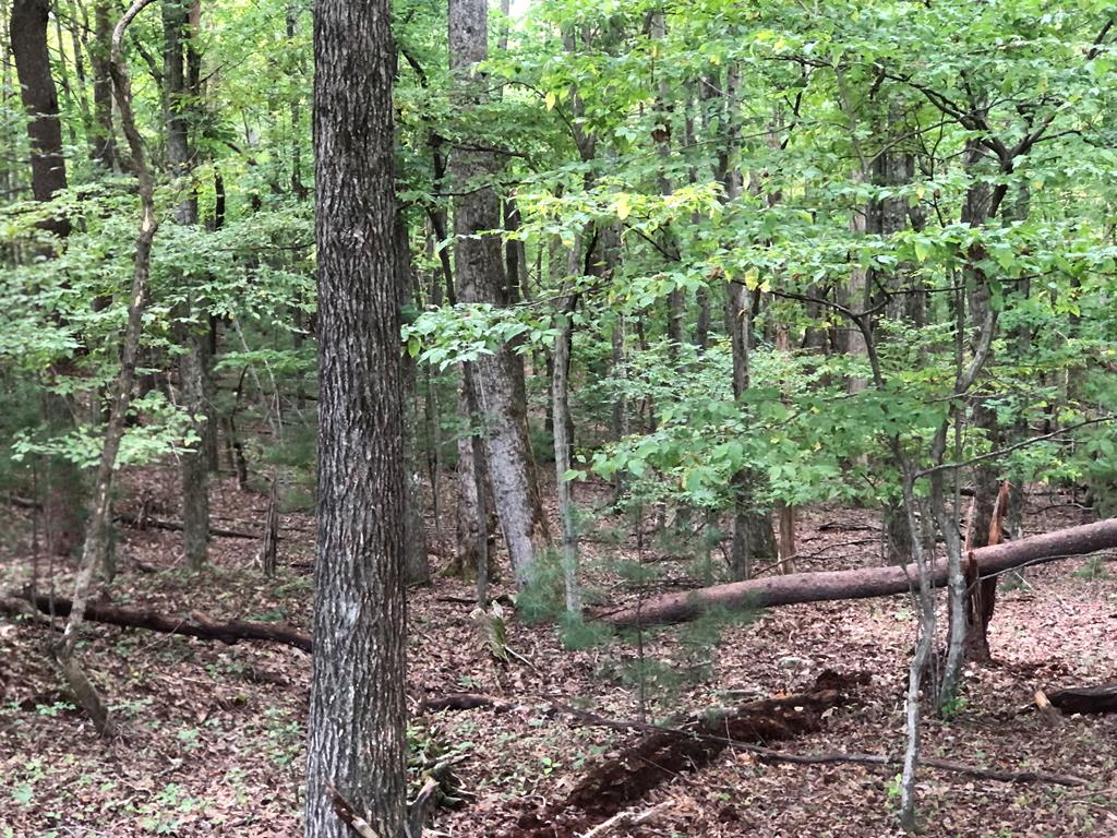 Tbd Myrtle Road, Unit 8 Bassett, VA 24055 - Photo 1 of 7 Gallery Image 1
