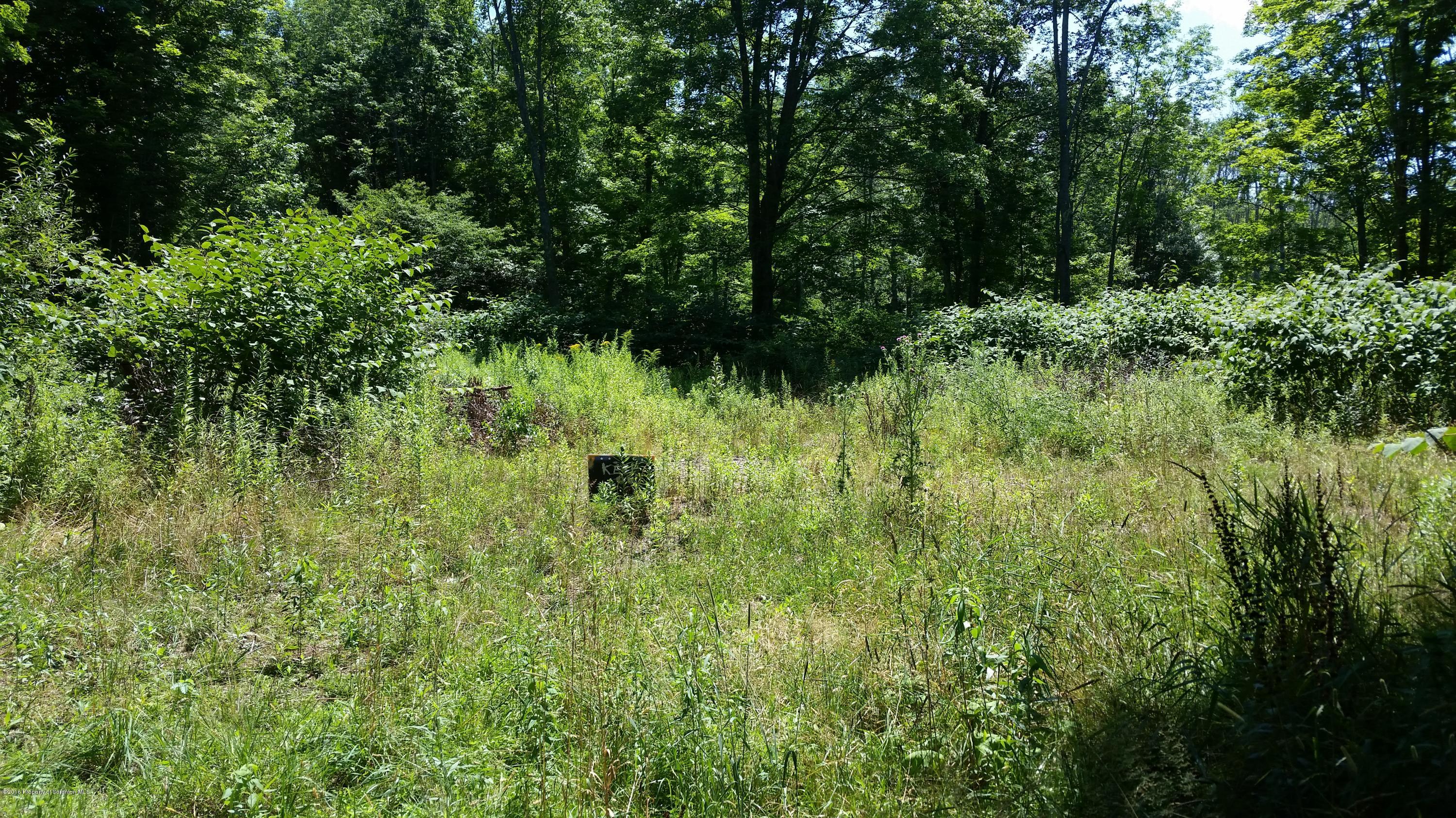 Highland Road Dalton, PA 18414 - Photo 1 of 1 Mill City Land