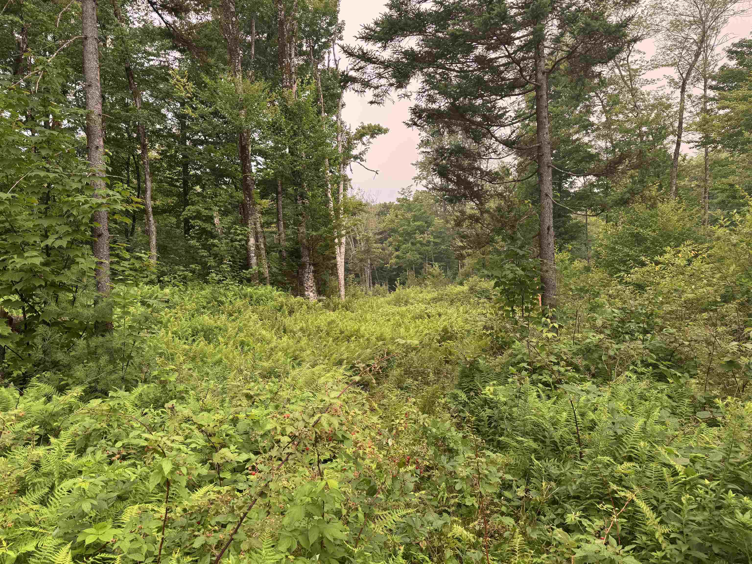 185 Valley View Road West Dover, VT 05356 - Photo 1 of 30