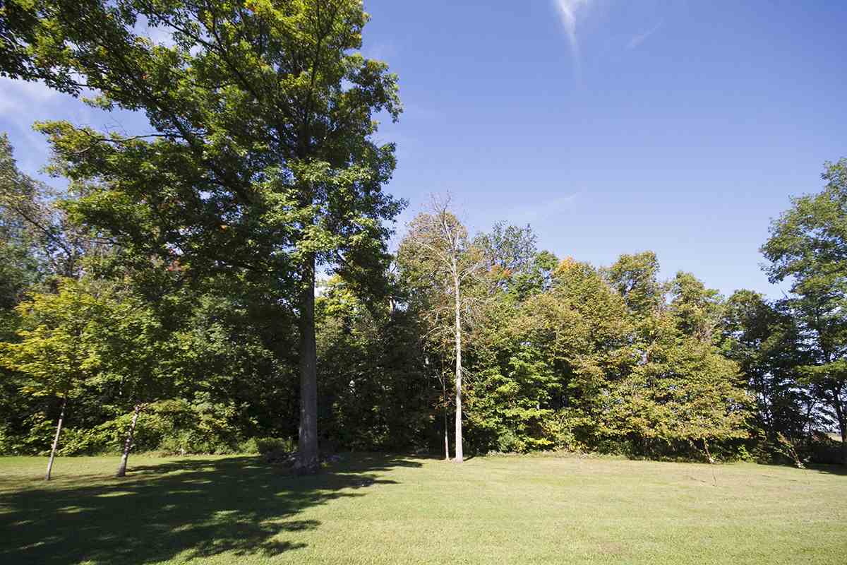 15120 Mill Road Fort Wayne, IN 46816 - Photo 7 of 35 Gallery Image 7