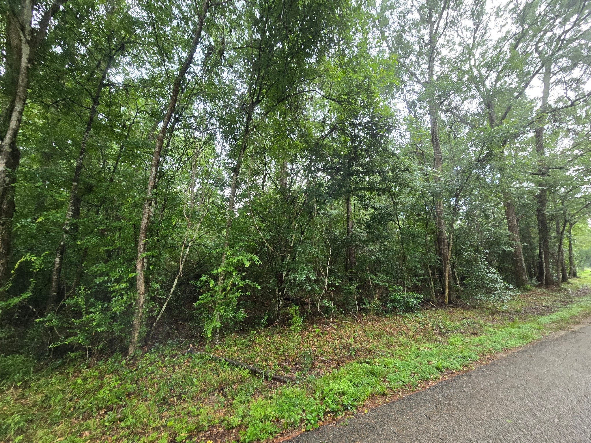 1208 County Road 377 Cleveland, TX 77327 - Photo 6 of 8 a view of outdoor space and green space