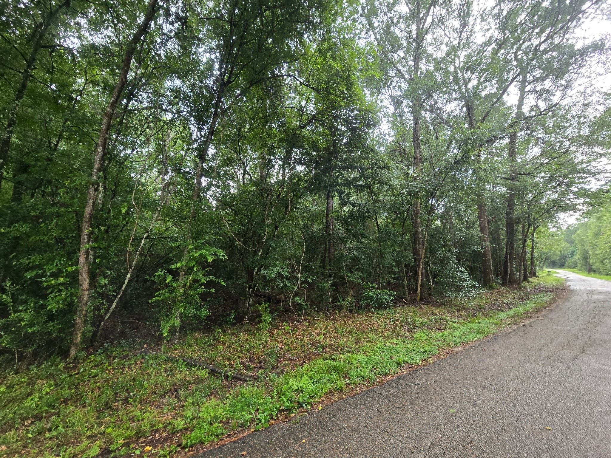1208 County Road 377 Cleveland, TX 77327 - Photo 8 of 8 a view of outdoor space and yard