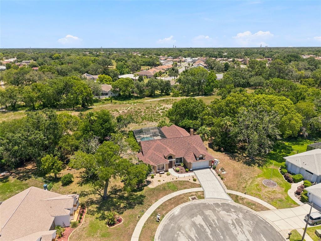 10296 Windsor Court Spring Hill, FL 34608 - Photo 63 of 69