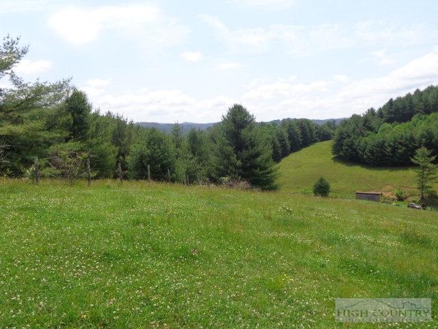 1402 Cox Road Jefferson, NC 28640 - Photo 11 of 25 Gallery Image 11
