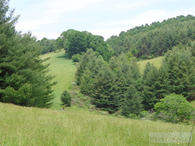 1402 Cox Road Jefferson, NC 28640 - Photo 14 of 25 Gallery Image 14