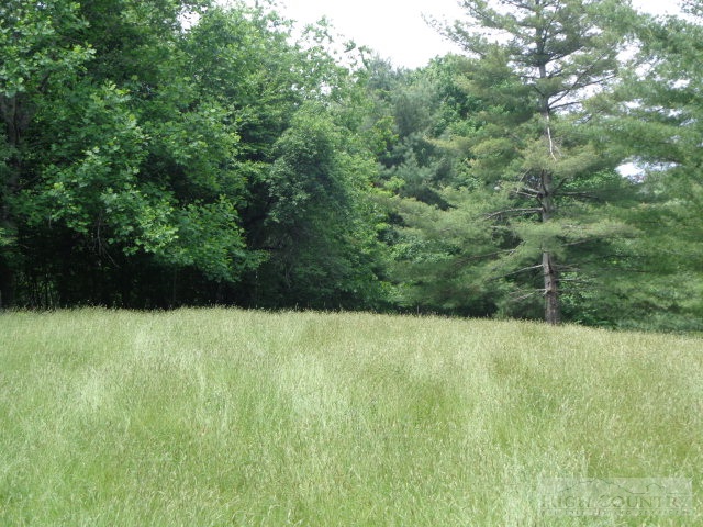 1402 Cox Road Jefferson, NC 28640 - Photo 15 of 25 Gallery Image 15
