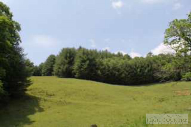 1402 Cox Road Jefferson, NC 28640 - Photo 21 of 25 Gallery Image 21