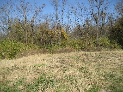 964 Arrowhead Drive Elwood, IL 60421 - Photo 3 of 4 a view of a yard with trees