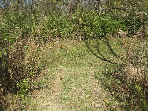 964 Arrowhead Drive Elwood, IL 60421 - Photo 4 of 4 a view of a yard