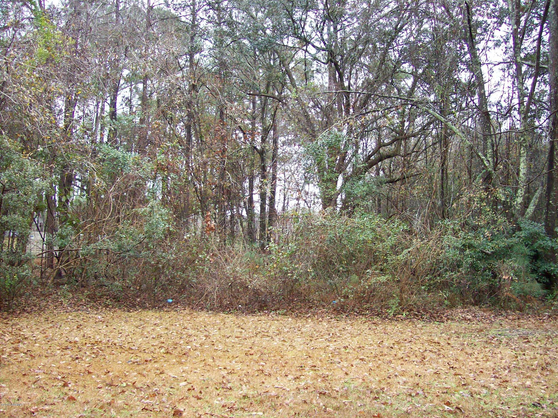 29 Seabrook Center Road Seabrook, SC 29940 - Photo 8 of 35 100_7758