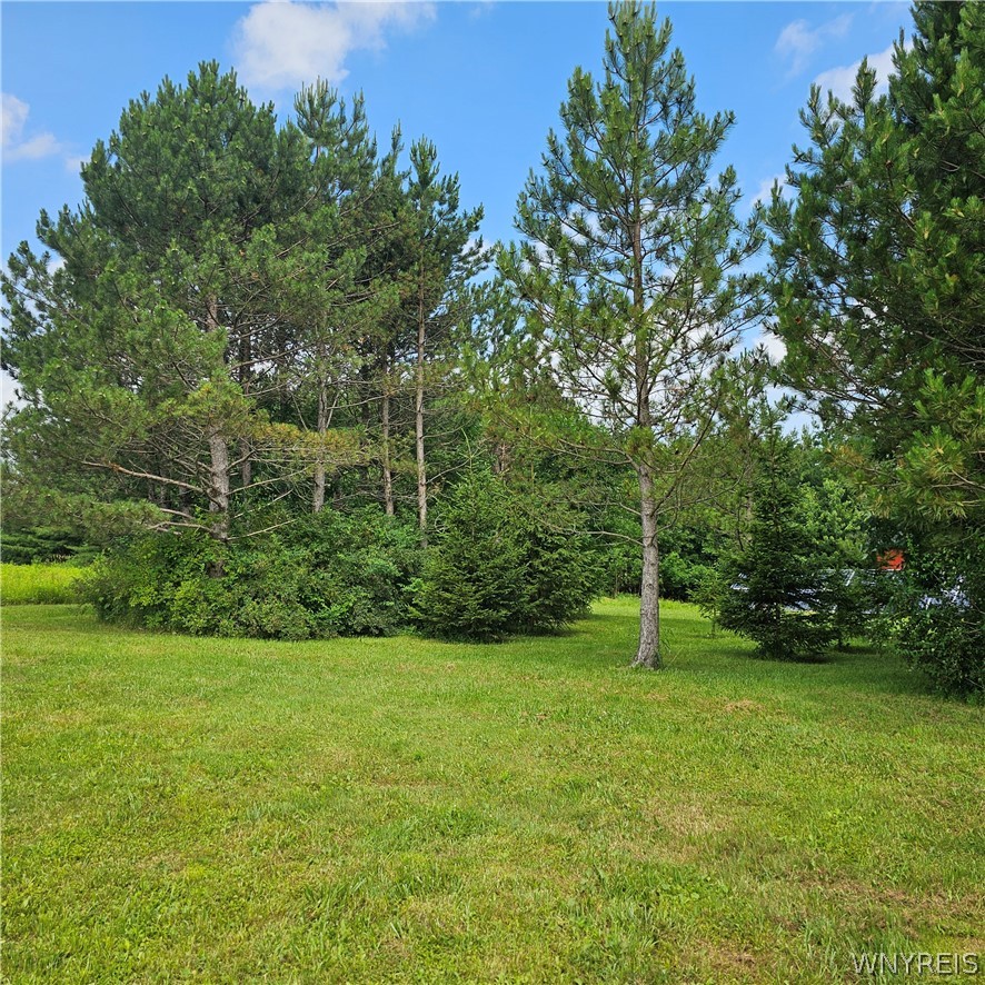 10248 Clarksburg Road North Collins, NY 14057 - Photo 19 of 35