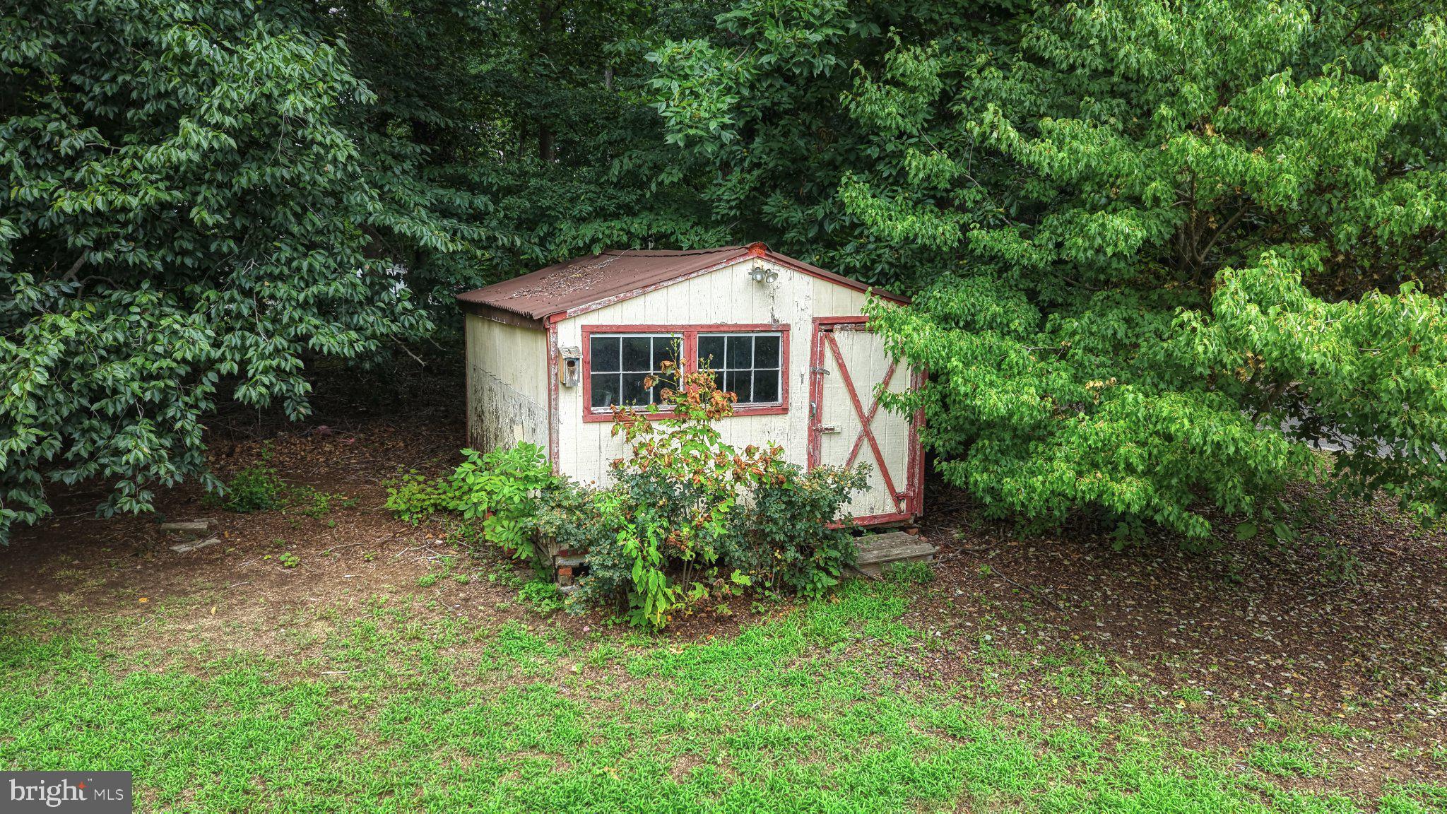 163 Pratts Branch Road Felton, DE 19943 - Photo 42 of 55 Charming shed nestled in lush greenery.