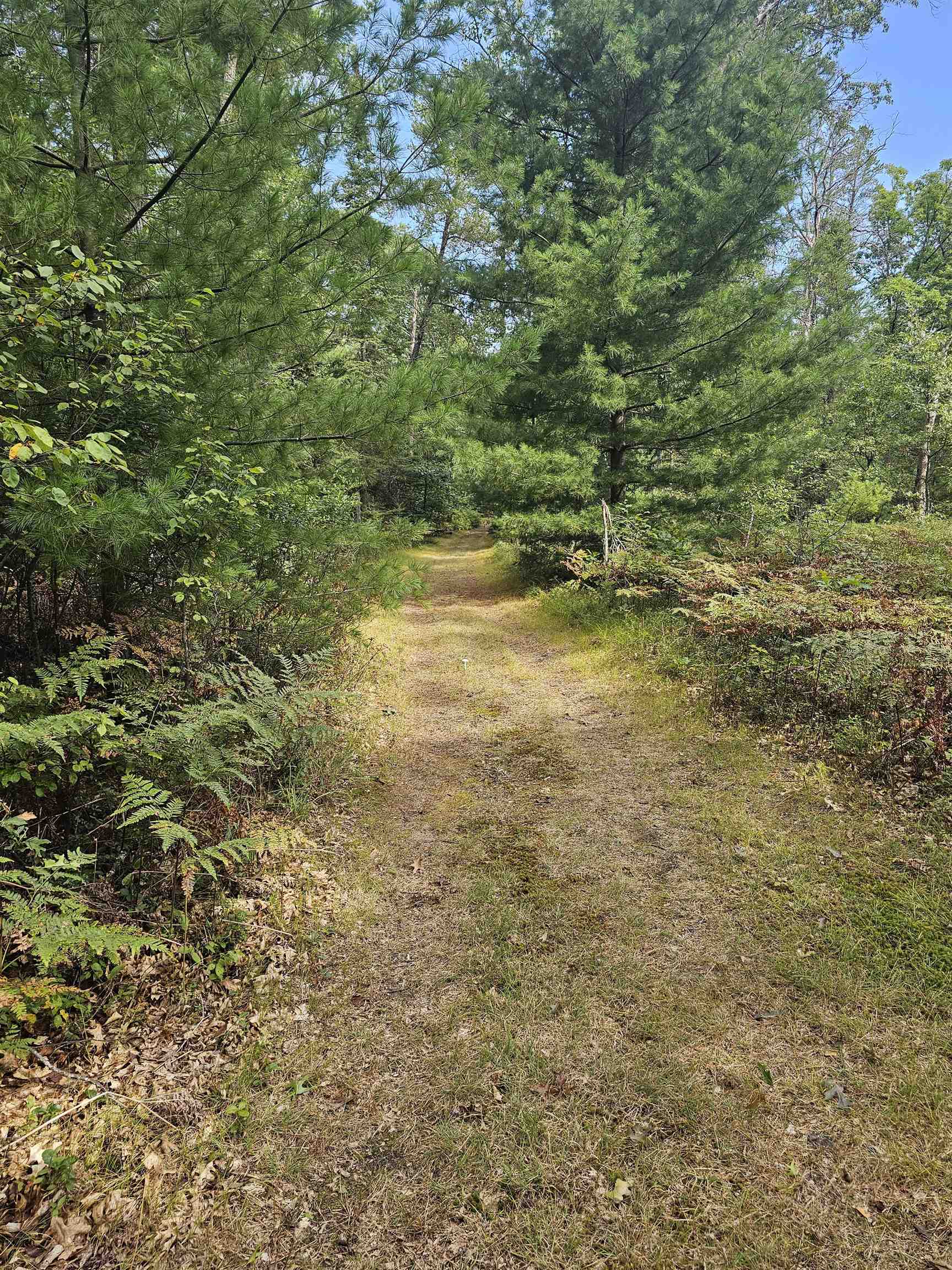 7282 Rollway Road South Branch, MI 48761 - Photo 22 of 24 1950093-6afecf75-a6a2-4d80-9b61-78670034db3a.JPG