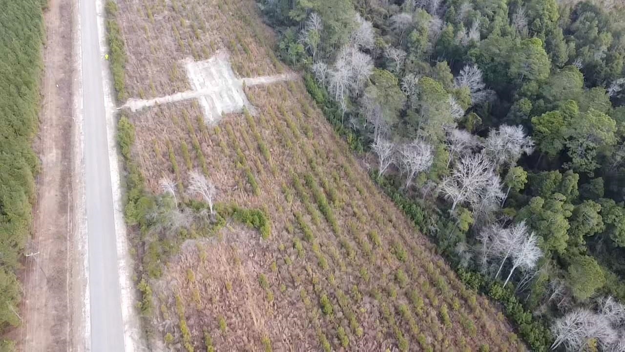 Lot 7 Amos Road Georgetown, SC 29440 - Photo 3 of 9