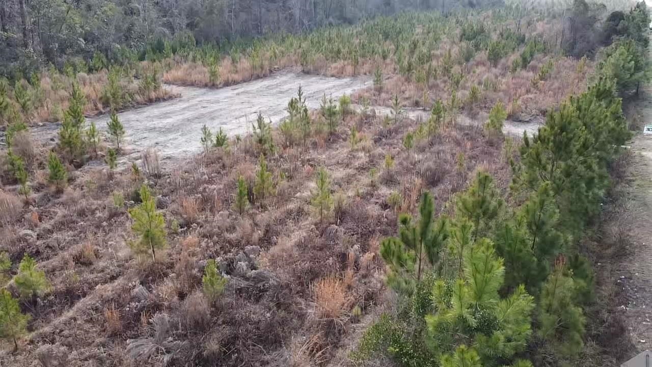 Lot 7 Amos Road Georgetown, SC 29440 - Photo 5 of 9