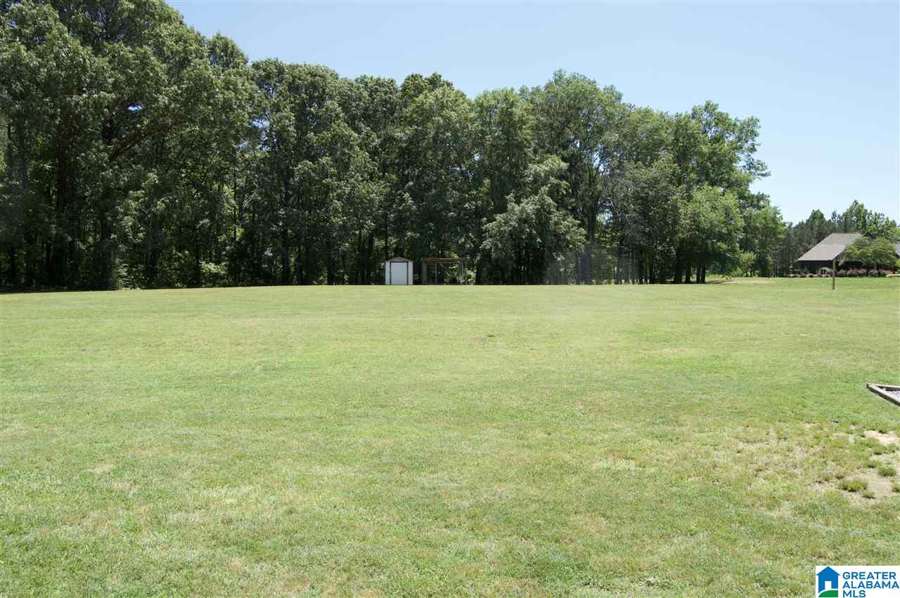 2350 Red Hill School Road Hayden, AL 35079 - Photo 3 of 22