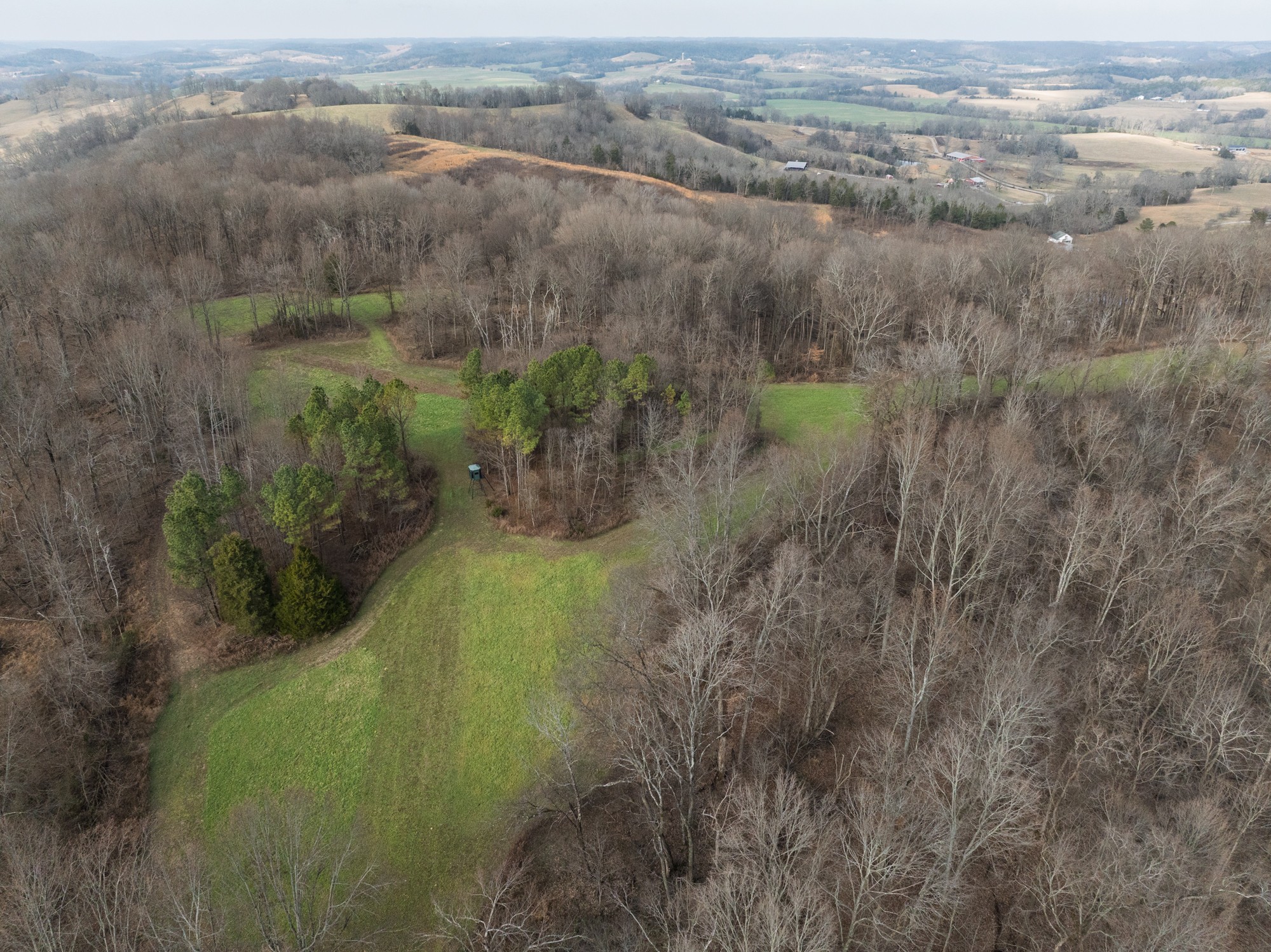 680 Morrell Road Pulaski, TN 38478 - Photo 33 of 71 Gallery Image 33