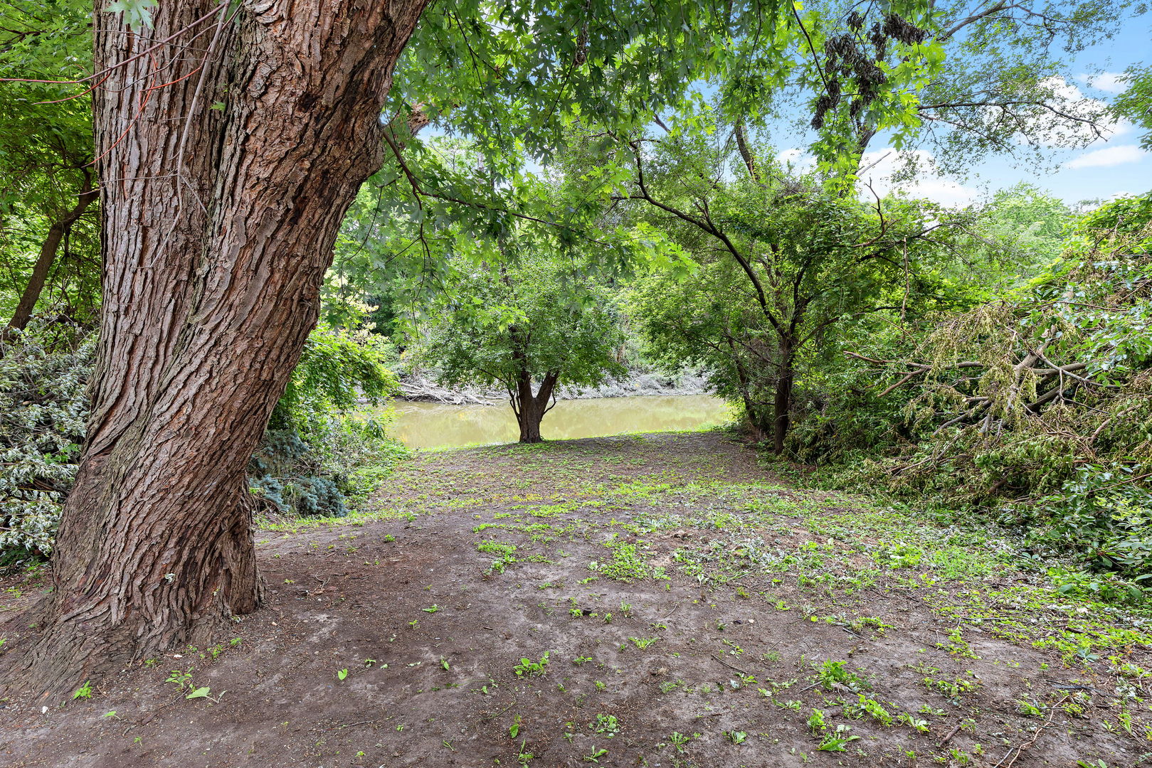 320 Streamside Drive Harvey, IL 60426 - Photo 21 of 26 a view of outdoor space and trees