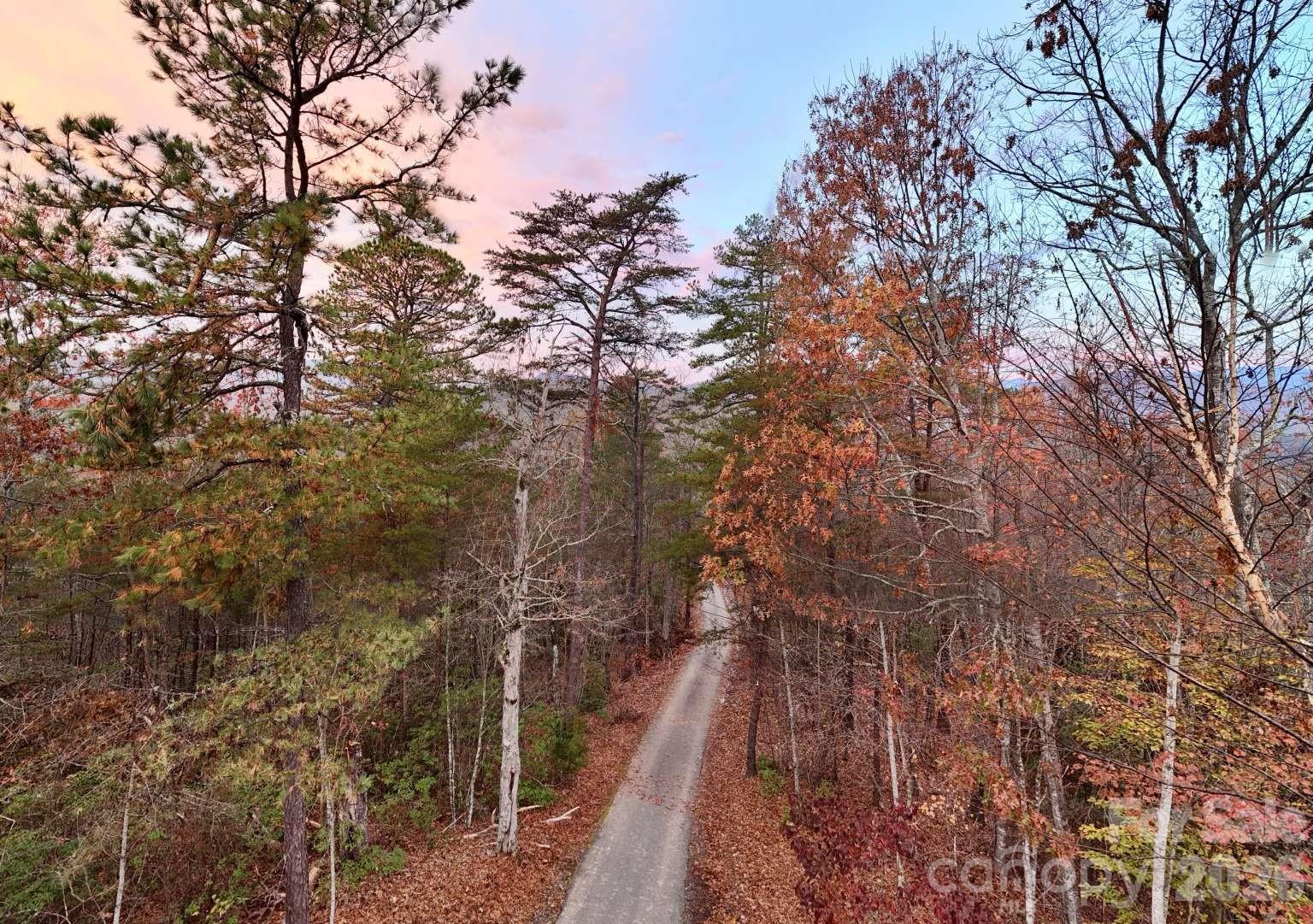 3815 Bat Cave Road Old Fort, NC 28762 - Photo 43 of 45