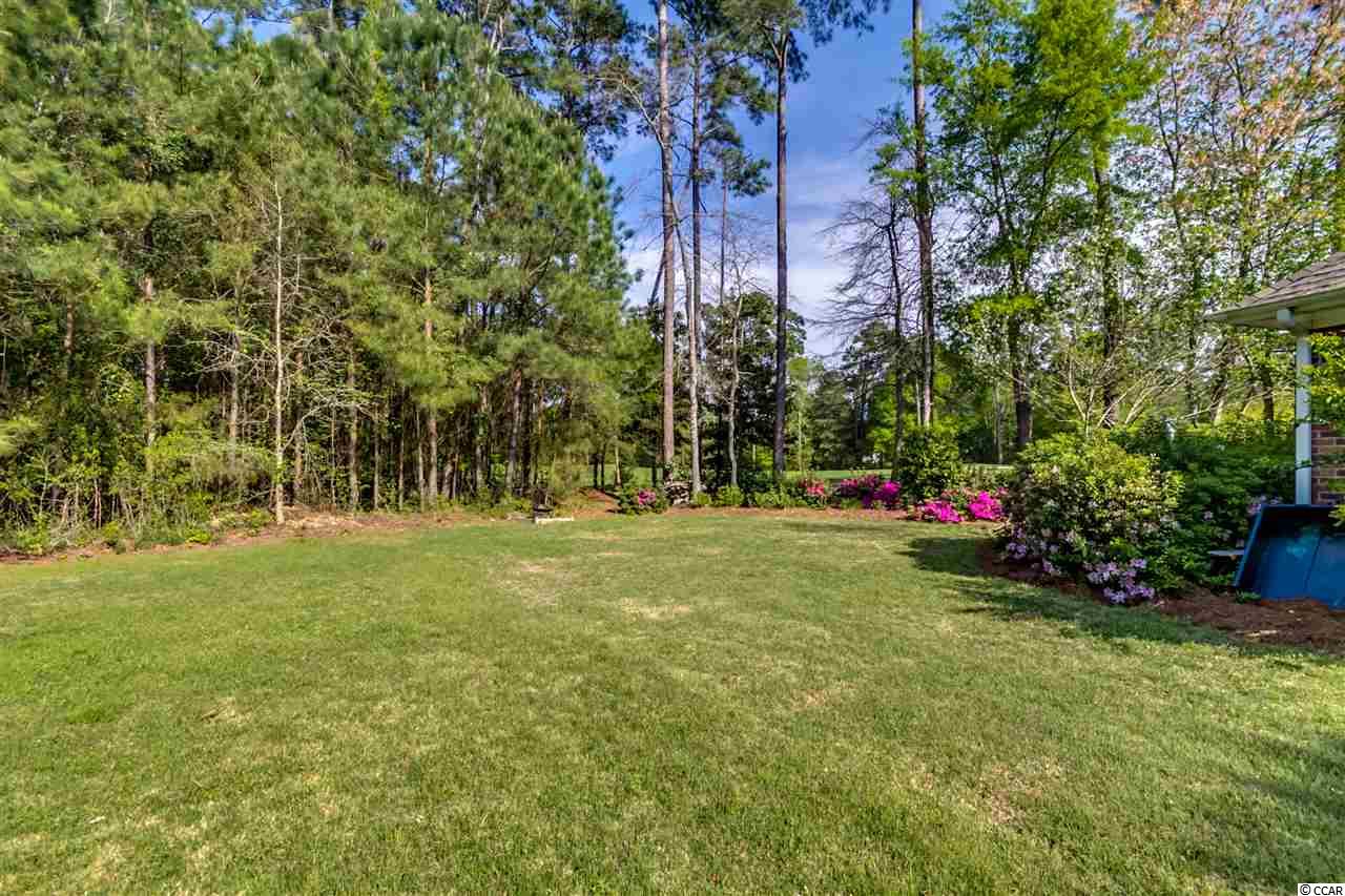 4432 Maypop Trail Murrells Inlet, SC 29576 - Photo 21 of 22 Gallery Image 21