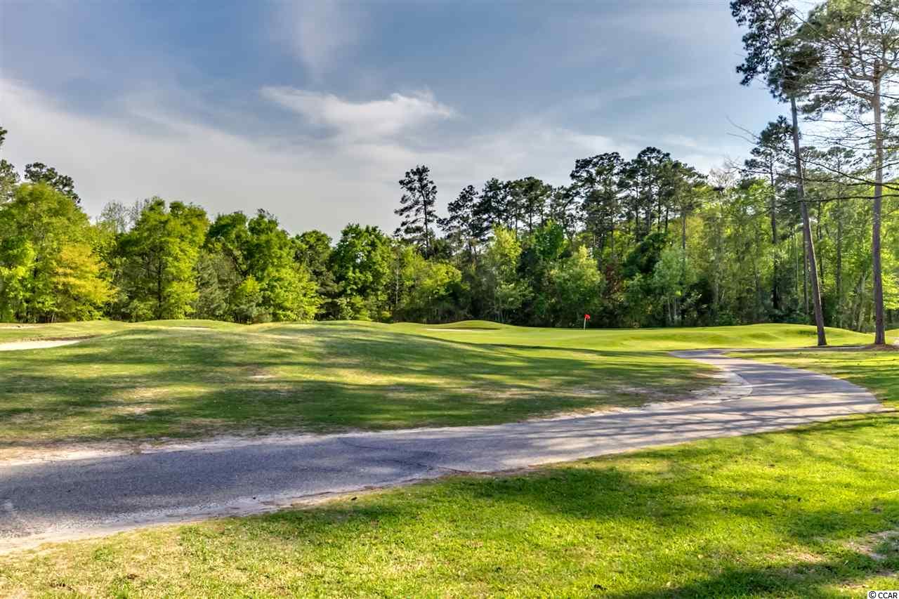 4432 Maypop Trail Murrells Inlet, SC 29576 - Photo 22 of 22 Gallery Image 22