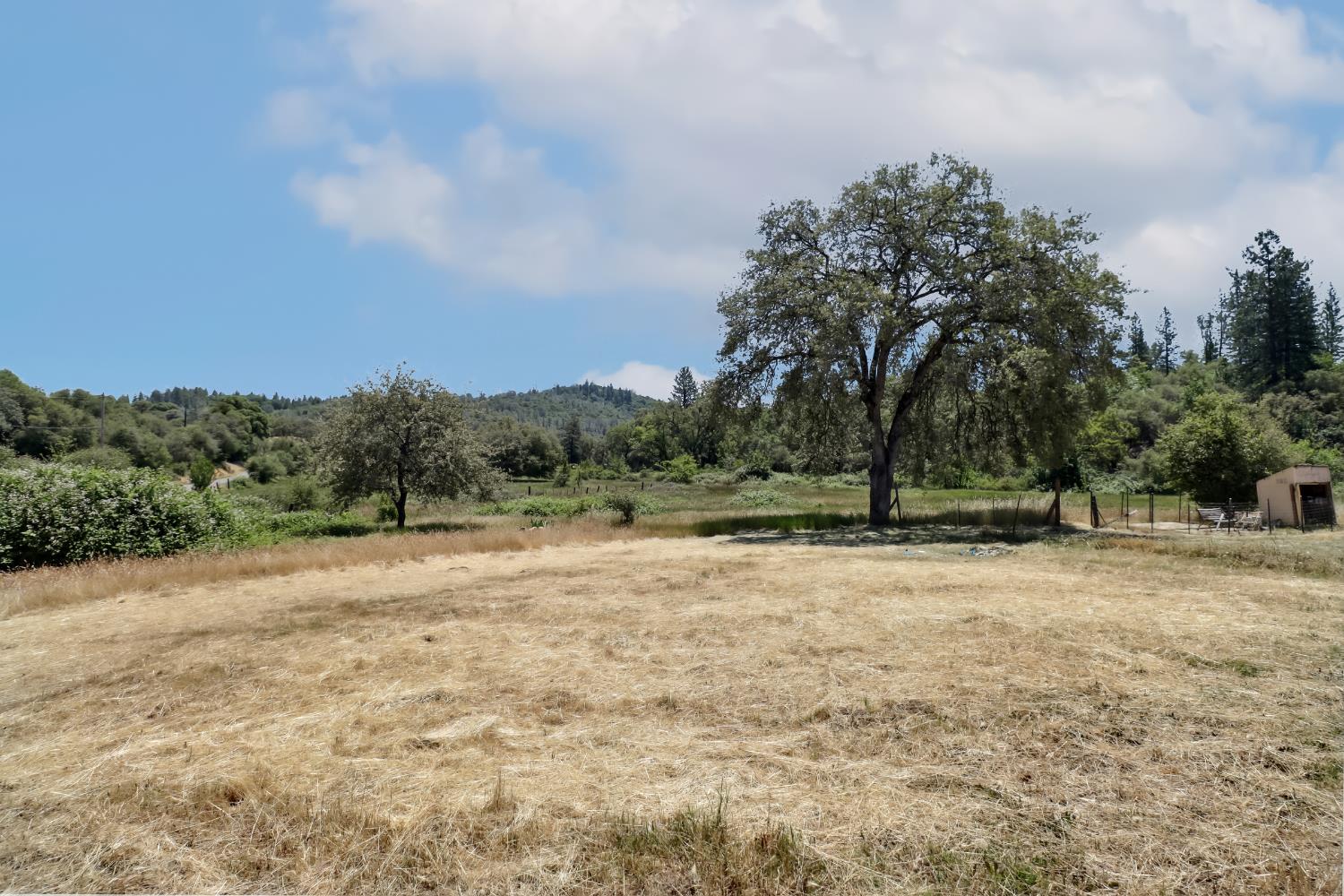 22115 Pleasant Valley Road North San Juan, CA 95960 - Photo 44 of 85 a view of dirt field with trees in the background