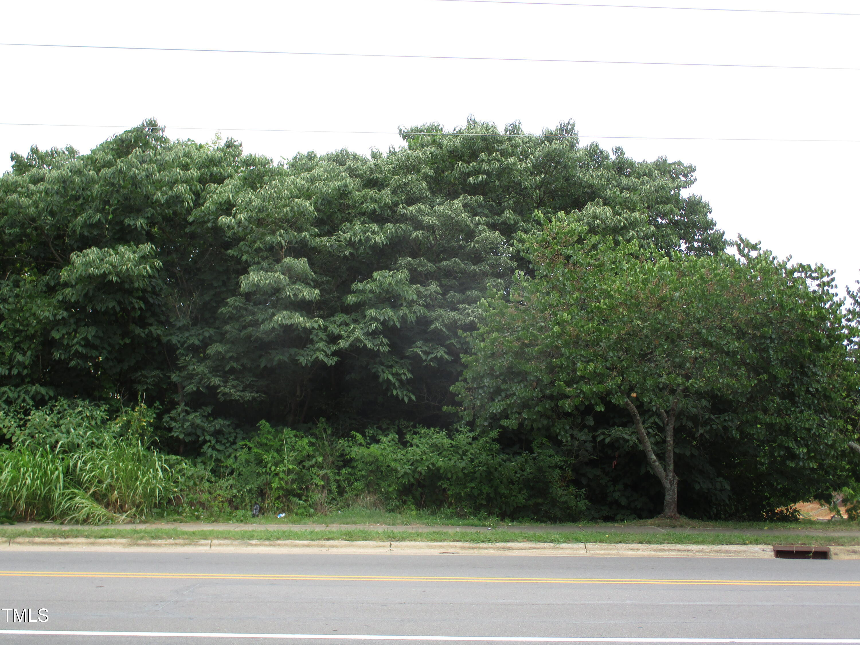 521 Bragg Street Raleigh, NC 27601 - Photo 2 of 4 IMG_9756