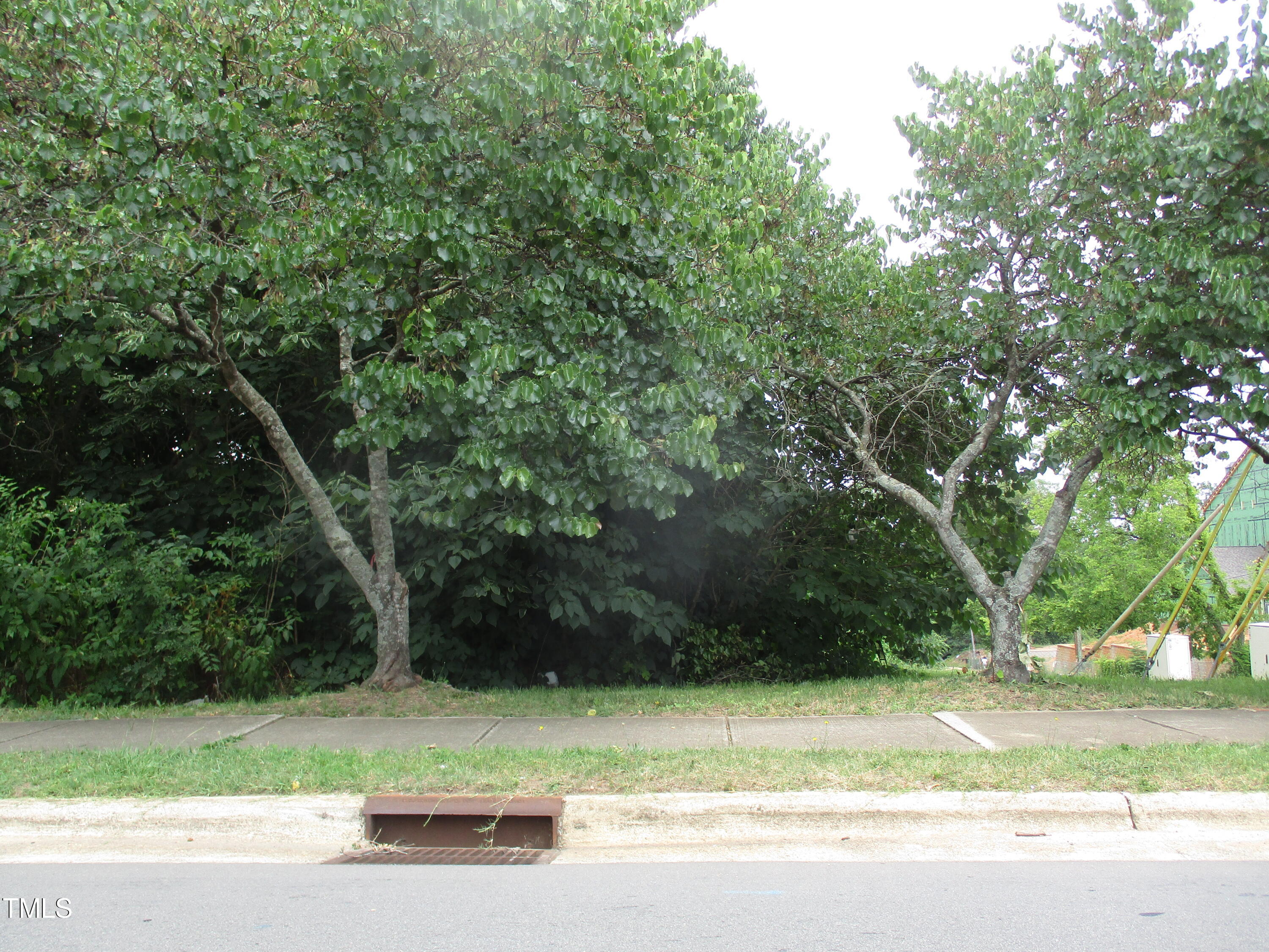 521 Bragg Street Raleigh, NC 27601 - Photo 3 of 4 IMG_9757