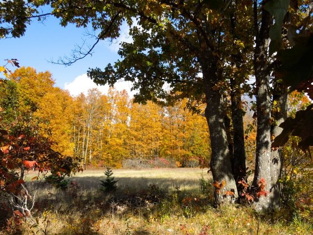 10282 Cedar Run Road Traverse City, MI 49684 - Photo 8 of 31 1805064-7.JPG