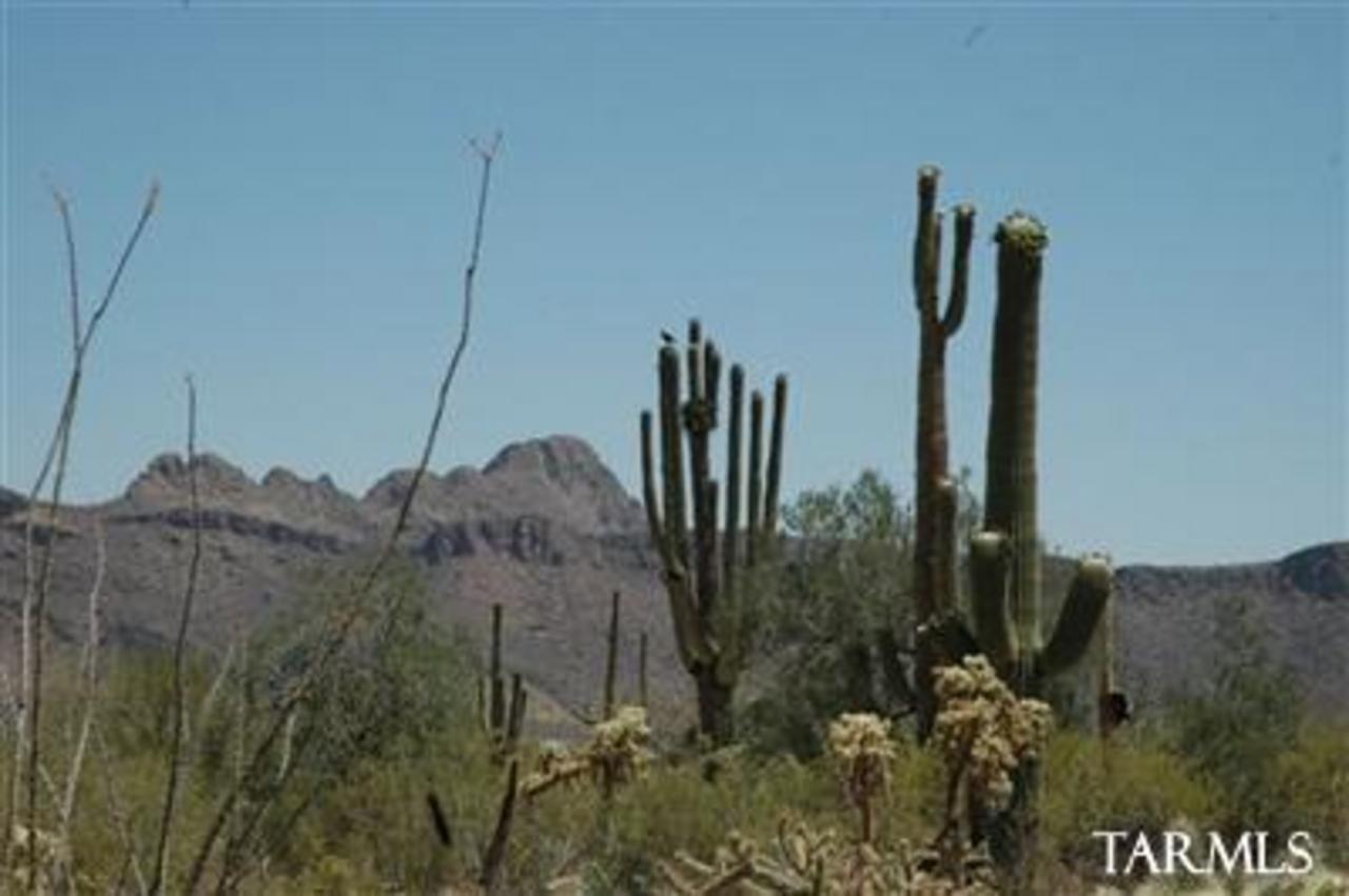 9800 West Rudasill Road Tucson, AZ 85743 - Photo 9 of 10 Gallery Image 9
