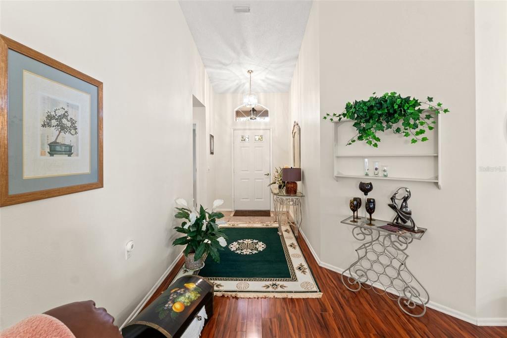 2223 Springmeadow Drive Spring Hill, FL 34606 - Photo 8 of 45 Gallery Image 8