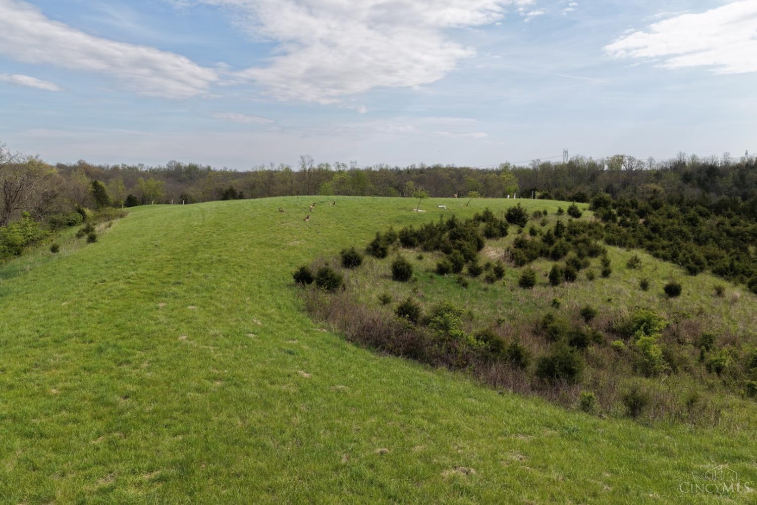9951 Fishing Gut Road Aberdeen, OH 45101 - Photo 8 of 50
