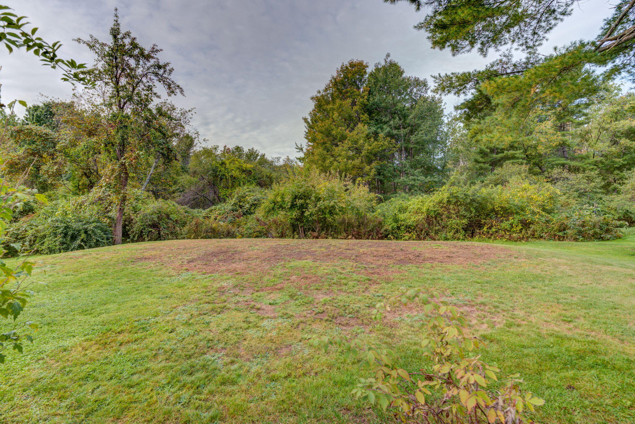 1165 Sawyer Road Cape Elizabeth, ME 04107 - Photo 35 of 37 Backyard